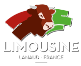 Limousine.org